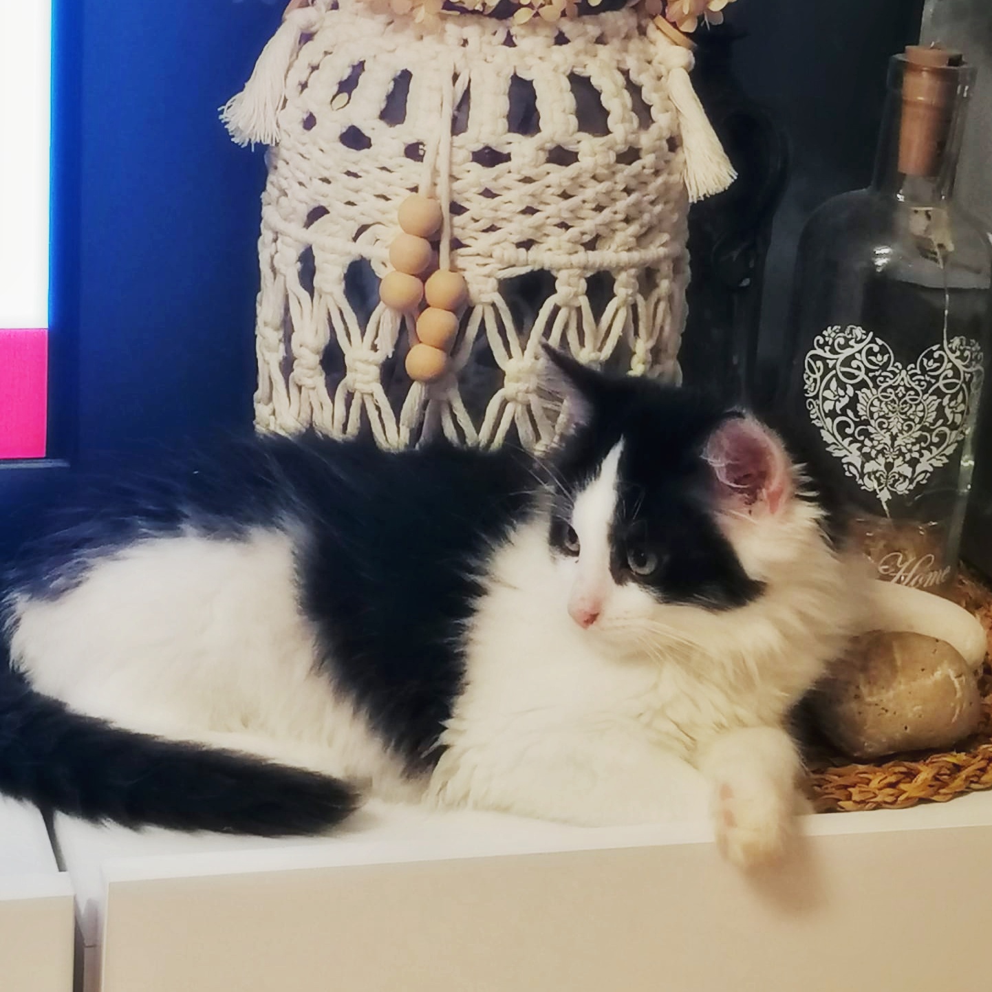 fluffy