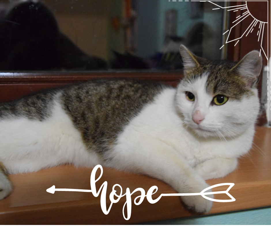 hope