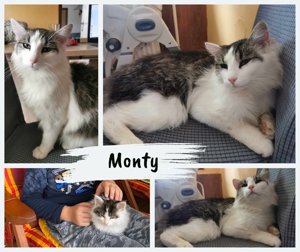 monty