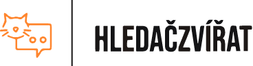 Hledaczvirat